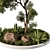 Exquisite Outdoor Plant 3D Model 3D model small image 2