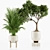 Premium Indoor Plants Set97 Model 3D model small image 5
