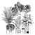 Premium Indoor Plants Set97 Model 3D model small image 6