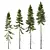 Spruce Tree01 3D Models Collection 3D model small image 1