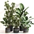 Modern Indoor Plant Set 077 3D model small image 1