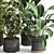 Modern Indoor Plant Set 077 3D model small image 2