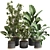 Modern Indoor Plant Set 077 3D model small image 5