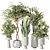 Minimalist Indoor Plant Set Collection 3D model small image 1