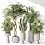 Minimalist Indoor Plant Set Collection 3D model small image 2
