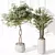Minimalist Indoor Plant Set Collection 3D model small image 3