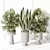 Minimalist Indoor Plant Set Collection 3D model small image 4
