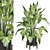 Modern Indoor Plants Set 1242 3D model small image 1