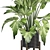 Modern Indoor Plants Set 1242 3D model small image 2