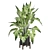 Modern Indoor Plants Set 1242 3D model small image 3