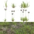 Comprehensive 3D Plant Variety Kit 3D model small image 1