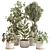 Botanical Bliss Plant Set 3D model small image 1