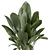 Custom 3D Plant Model (Obj) 3D model small image 4