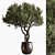  Arboreal Beauty in Pot 686 3D model small image 1