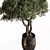  Arboreal Beauty in Pot 686 3D model small image 2