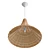 Modern Woven Pendant Light Fixture 3D model small image 4