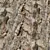 Rock Stone Covering Texture Set 3D model small image 5