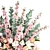 Cherry Blossom Tulip Vase Bouquet 3D model small image 3