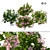 Evergreen Blooming Shrub 3D Collection 3D model small image 1