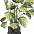 Greenery Set 1248 - 3D Models 3D model small image 3
