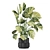 Greenery Set 1248 - 3D Models 3D model small image 4