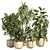 Concrete Pot Indoor Plant Set 3D model small image 1