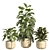 Concrete Pot Indoor Plant Set 3D model small image 2