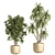 Concrete Pot Indoor Plant Set 3D model small image 3