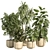 Concrete Pot Indoor Plant Set 3D model small image 5