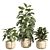 Concrete Pot Indoor Plant Set 3D model small image 7