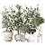 Variety Indoor Plant Set Collection 3D model small image 1