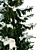 Winter Spruce Tree Display 7m 3D model small image 3