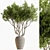 610 Outdoor Tree in Pot 3D model small image 1