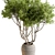 610 Outdoor Tree in Pot 3D model small image 2