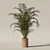 Tropical Beauty: Areca Palm Collection 3D model small image 7