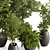 Luxury Foliage Tree Pot 668 3D model small image 2