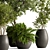 Luxury Foliage Tree Pot 668 3D model small image 4