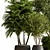 Luxury Foliage Tree Pot 668 3D model small image 5