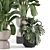 Modern Indoor Plants Set 2102 3D model small image 4