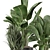 Modern Indoor Plants Set 2102 3D model small image 6