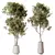 Elegant Olive Tree Yard Set 3D model small image 1