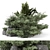 Garden Set Bush Tree Render 3D model small image 2