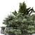 Garden Set Bush Tree Render 3D model small image 4