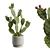 Prickly Pear Cactus Houseplant 3D model small image 1