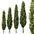 Italian Cypress Tree Models Pack 3D model small image 1