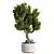Zen Bonsai Set for Indoors 3D model small image 1