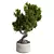 Zen Bonsai Set for Indoors 3D model small image 2
