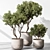 Tree in Pot 676 | Indoor 3D model small image 5