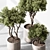 Tree in Pot 676 | Indoor 3D model small image 1