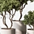 Tree in Pot 676 | Indoor 3D model small image 2